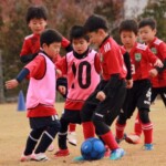 第1回南信州ちびっこのためのサッカー大会 U7 U8 ＠アジア電子グラウンド (2020年11月22日)