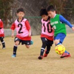 第1回南信州ちびっこのためのサッカー大会 U7 U8 ＠アジア電子グラウンド (2020年11月22日)