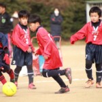 喬木ミニサッカー交流会 U10以下 vsトップ伊那 vsFC.ESAT A vs竜東FC vs喬木アレグリC vs喬木アレグリB vsFC豊丘 vsトップストーンA @喬木小学校 (2020年12月6日) 喬木ミニサッカー交流会 U10以下 vsトップ伊那 vsFC.ESAT A vs竜東FC vs喬木アレグリC vs喬木アレグリB vsFC豊丘 vsトップストーンA @喬木小学校 (2020年12月6日)
