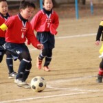 喬木ミニサッカー交流会 U10以下 vsトップ伊那 vsFC.ESAT A vs竜東FC vs喬木アレグリC vs喬木アレグリB vsFC豊丘 vsトップストーンA @喬木小学校 (2020年12月6日) 喬木ミニサッカー交流会 U10以下 vsトップ伊那 vsFC.ESAT A vs竜東FC vs喬木アレグリC vs喬木アレグリB vsFC豊丘 vsトップストーンA @喬木小学校 (2020年12月6日)