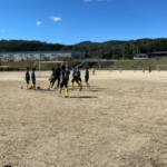 トレーニングマッチ U-11 vsナイツ vs南木曽 vs東御B vsESAT @川路Bグラウンド 2021年10月23日(土)